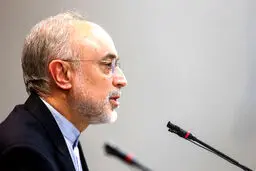 صالحی: با توجه به رفتار آمریکا تصمیم مقتضی را خواهیم گرفت