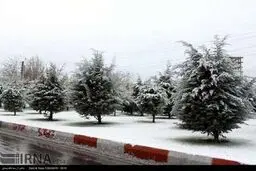 بارش برف پاییزی در تبریز/ تصاویر