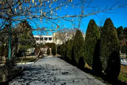 چهره آبی‌ تهران/ تصاویر