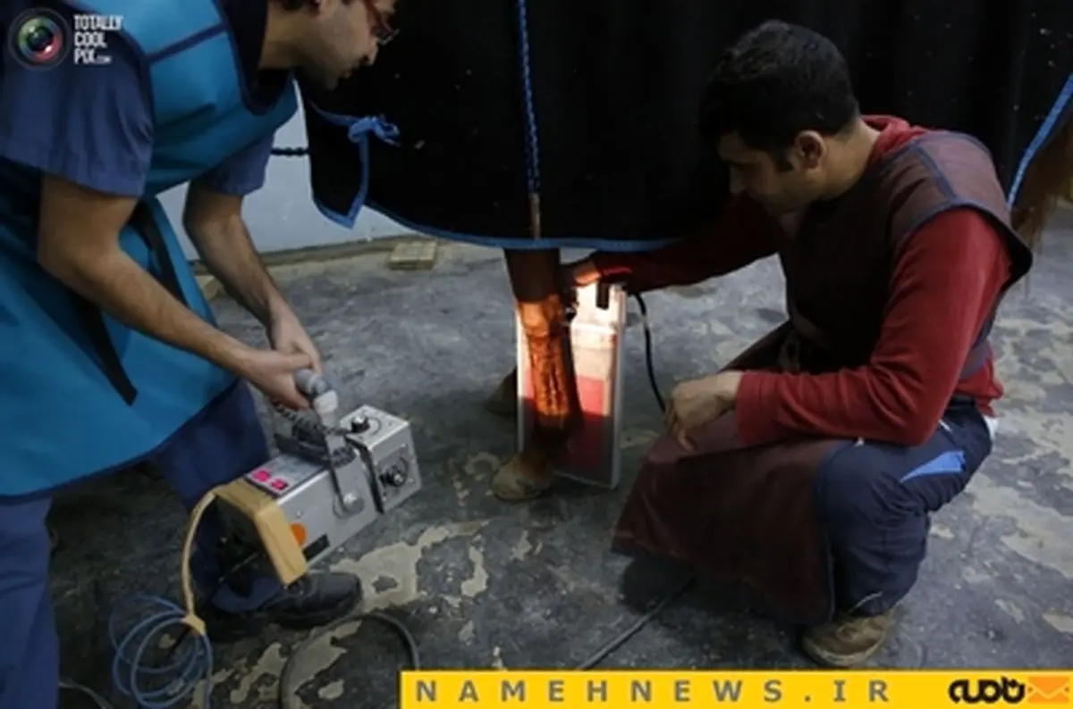 سخت ترین کار پزشکی جهان؛ مداوای اسب ها+تصاویر