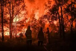 آتش‌سوزی مهیب در تابستان داغ سیدنی/تصاویر