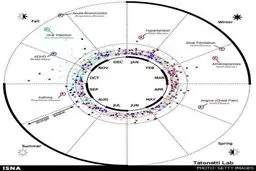 بیماری ماه تولد خود را بشناسید!