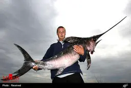 ماهی‌های عظیم الجثه و البته جذاب! /تصاویر