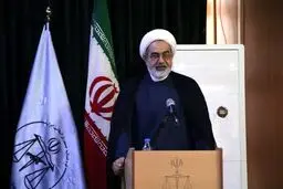 توضیح رئیس سازمان قضائی نیروهای مسلح درباره پرونده هواپیمای اوکراینی
