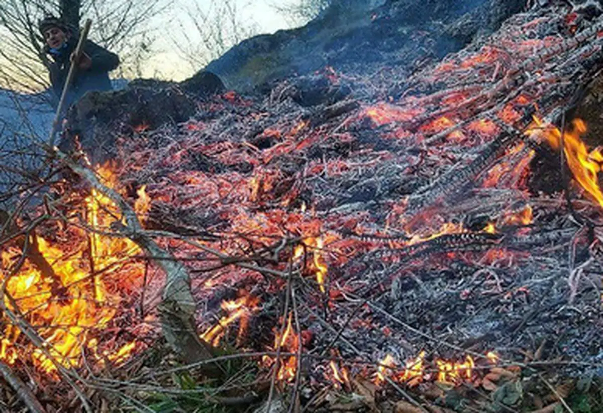 گزارش تصویری از آتش سوزی در مناطق مسکونی گیلان