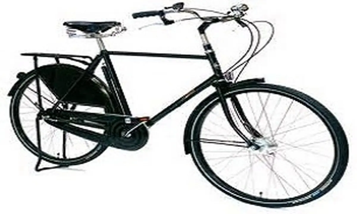 همه چیز درباره خرید "دوچرخه" +جدول قیمت