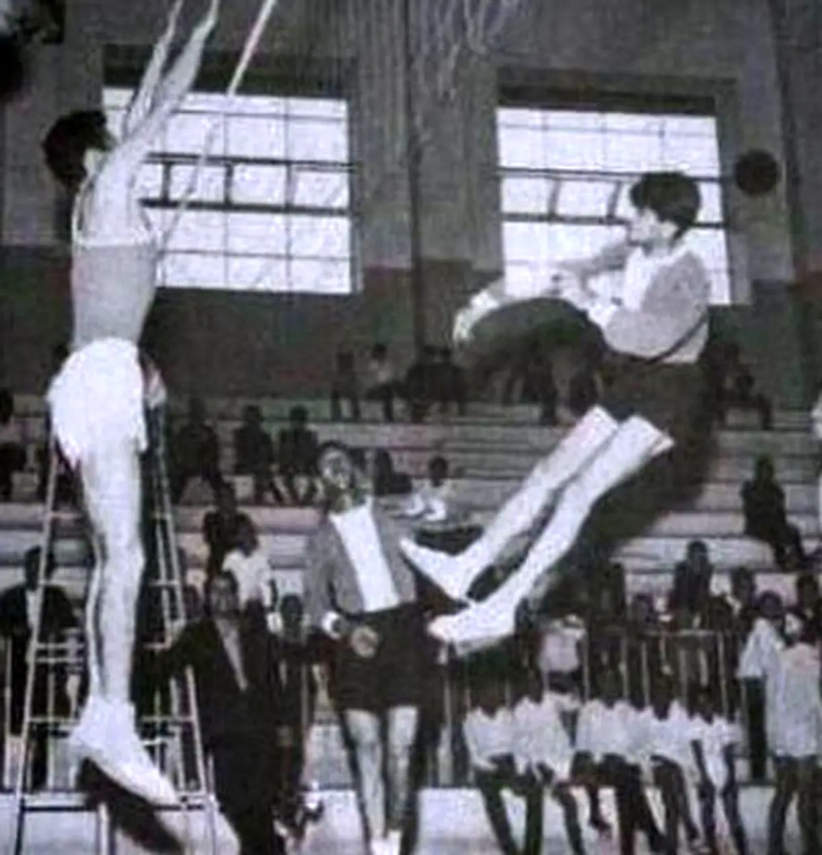 تمجید استاد شجریان از والیبالیست‌ها/عکس