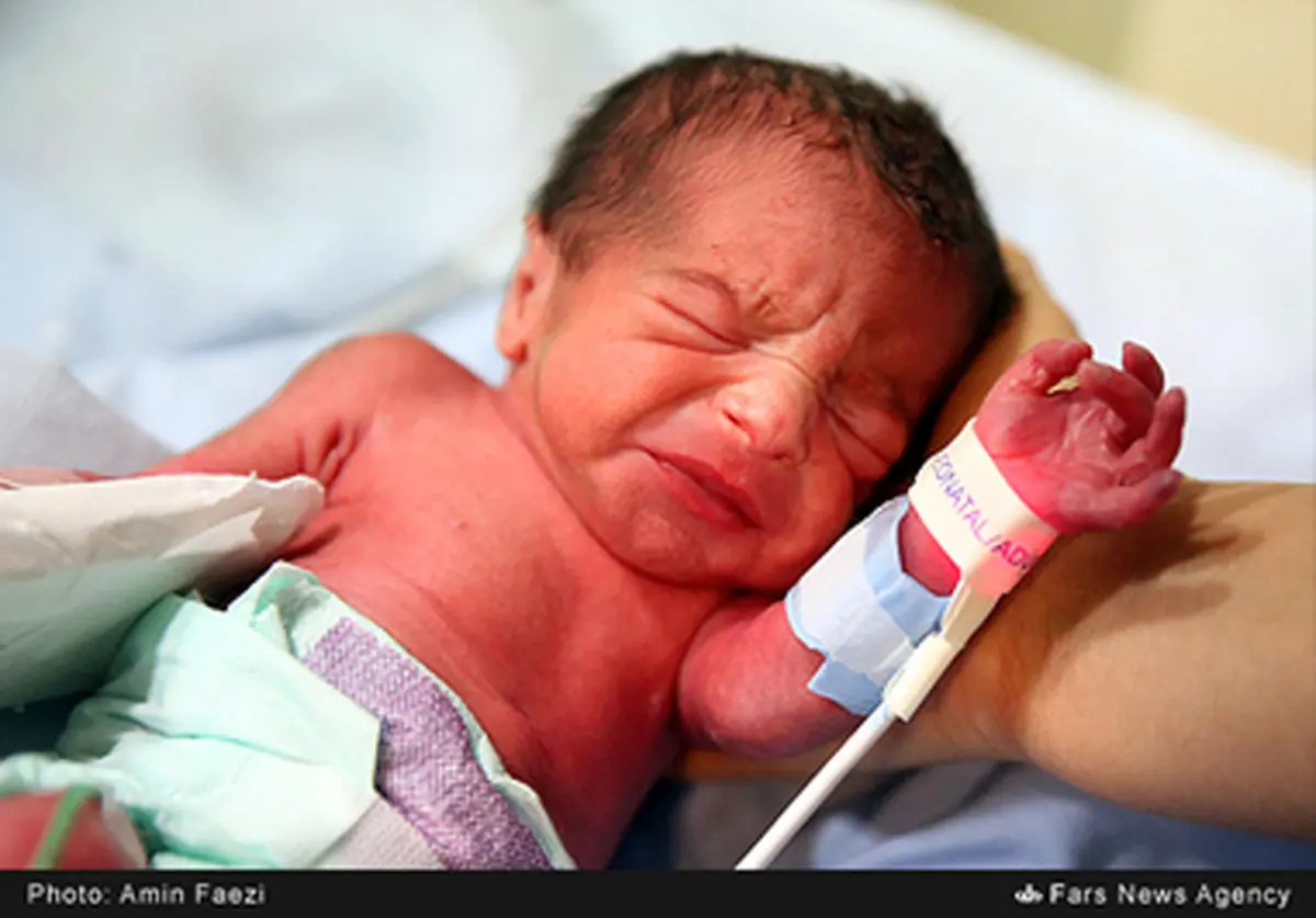 تصاویری از تولد پنج قلوهای شیرازی