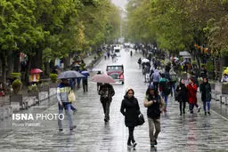 تصاویری زیبا از باران بهاری