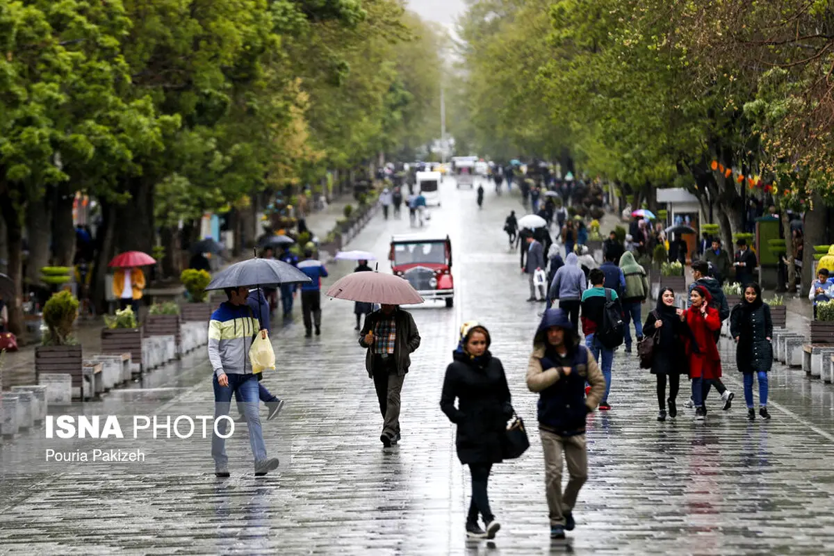 تصاویری زیبا از باران بهاری