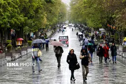 تصاویری زیبا از باران بهاری