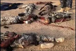 کشته‌های داعش در عملیات آزادسازی تکریت/عکس