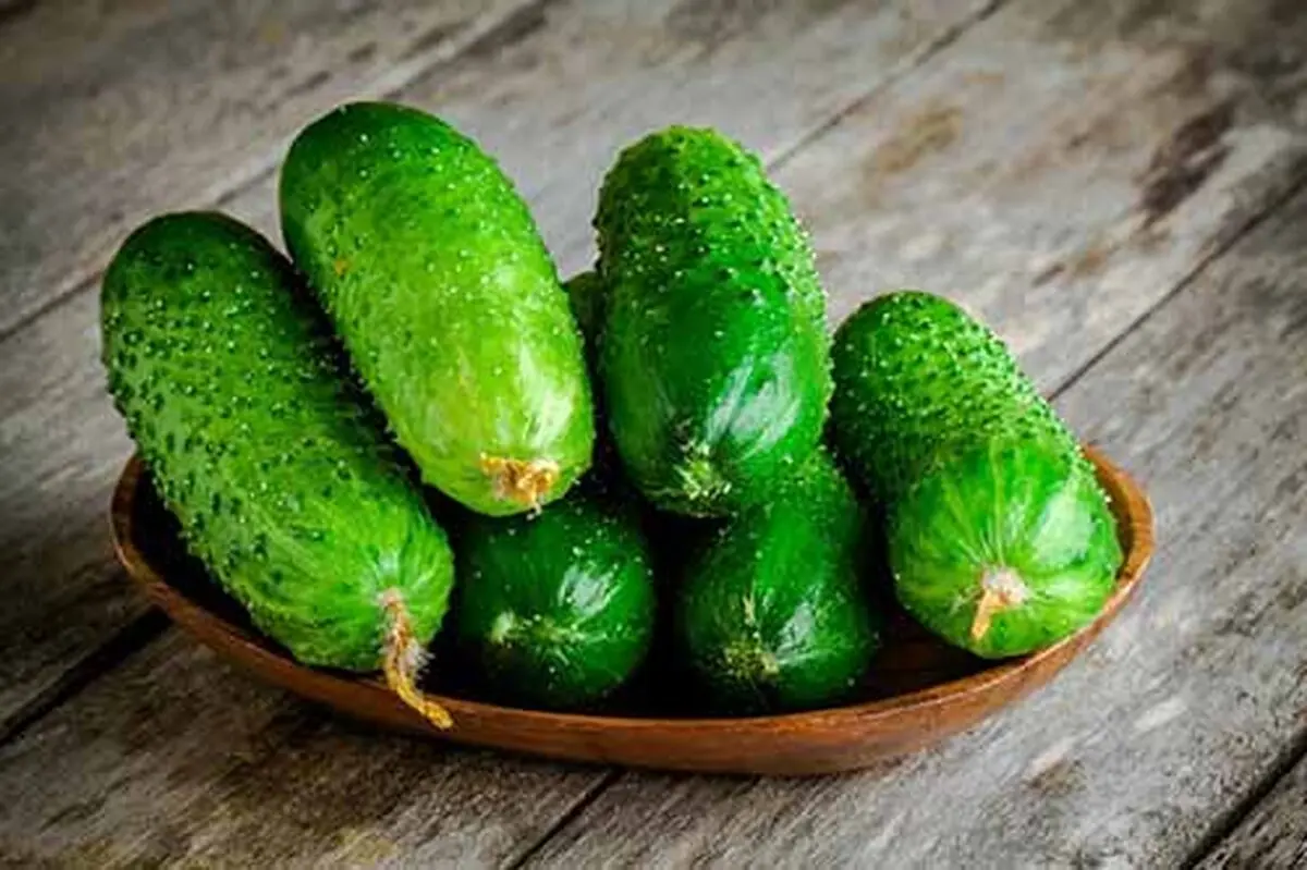 خیار بخورید آلزایمر نگیرید