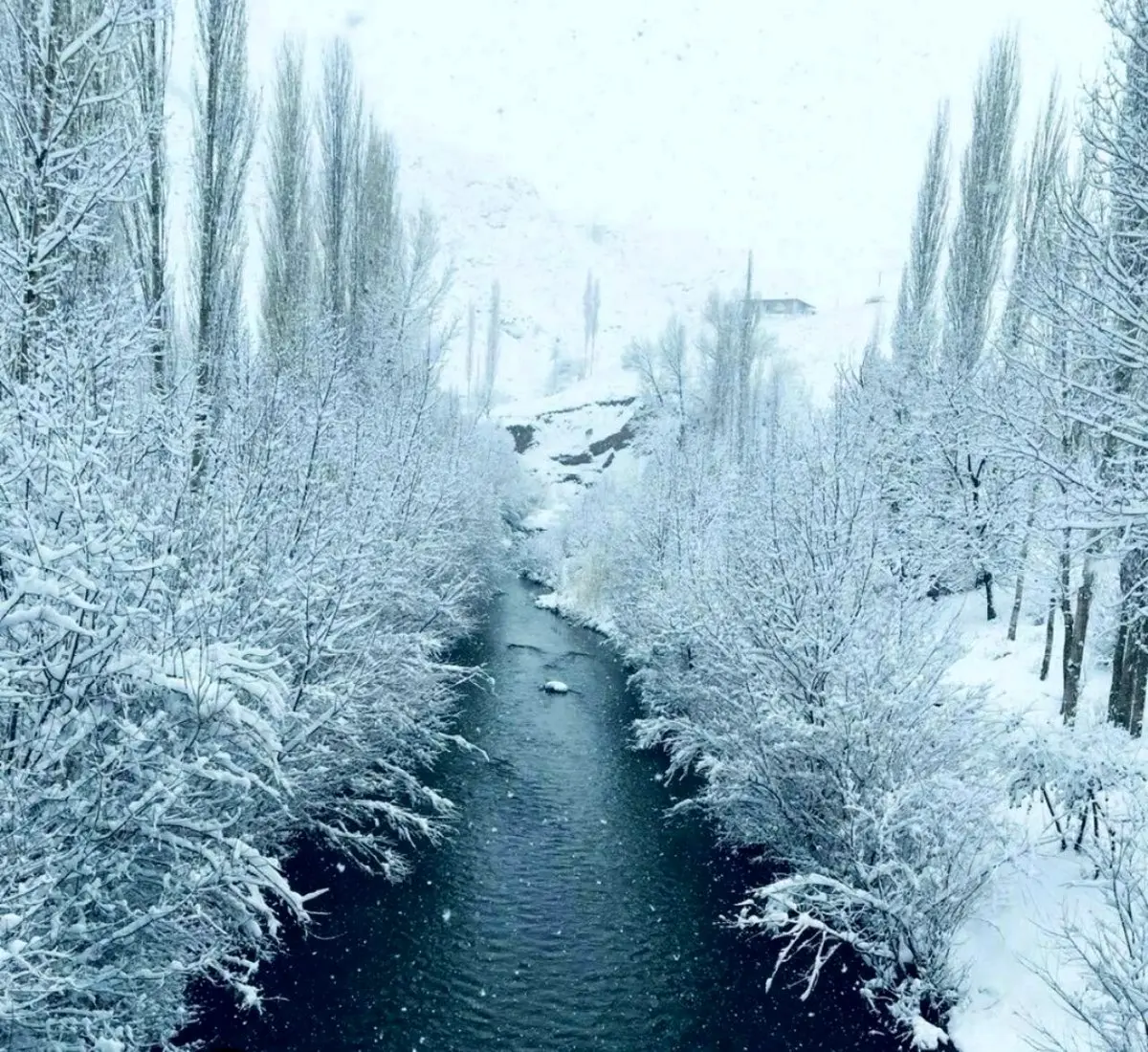 منظره‌ی فوق‌العاده زیبای برفی اردبیل/ عکس