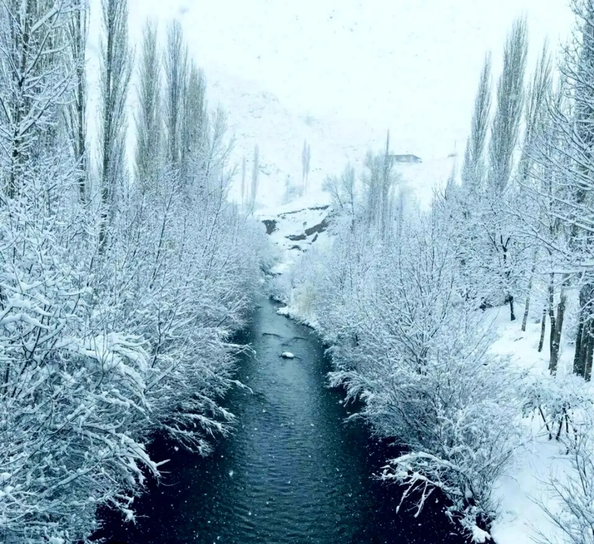 منظره‌ی فوق‌العاده زیبای برفی اردبیل/ عکس