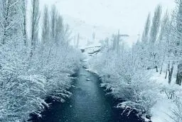 منظره‌ی فوق‌العاده زیبای برفی اردبیل/ عکس