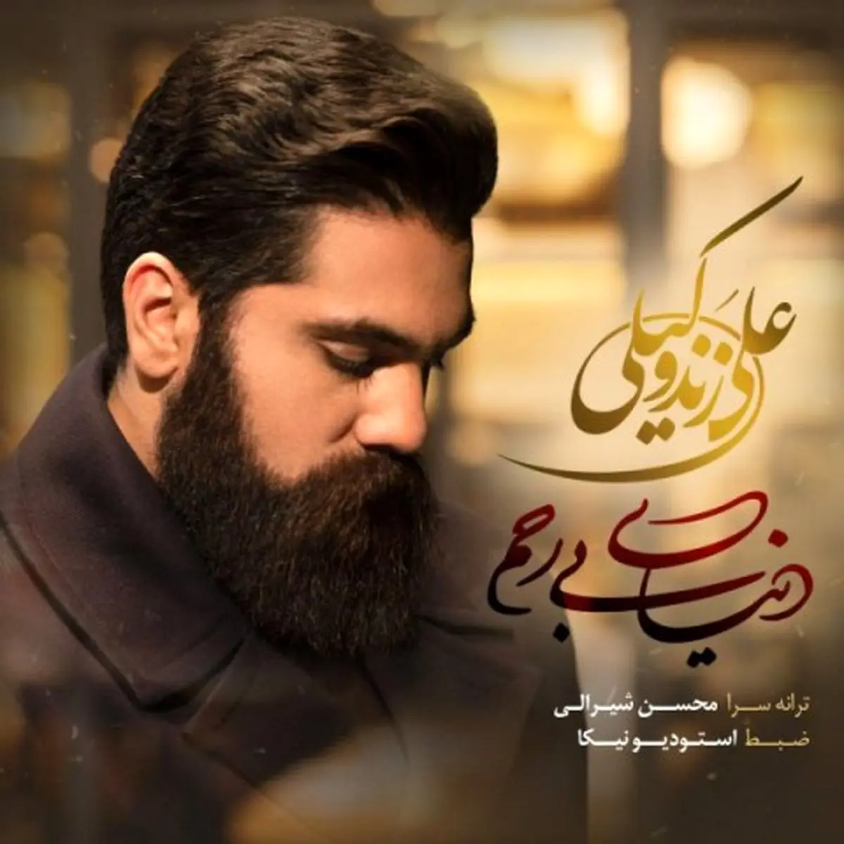 آهنگ جدید علی زند وکیلی به نام دنیای بی رحم