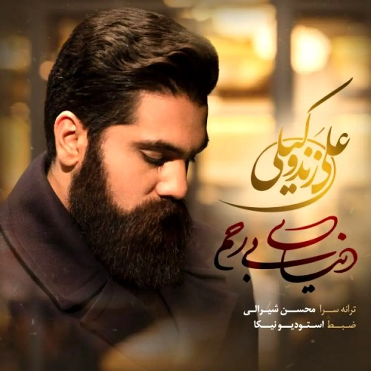 آهنگ جدید علی زند وکیلی به نام دنیای بی رحم