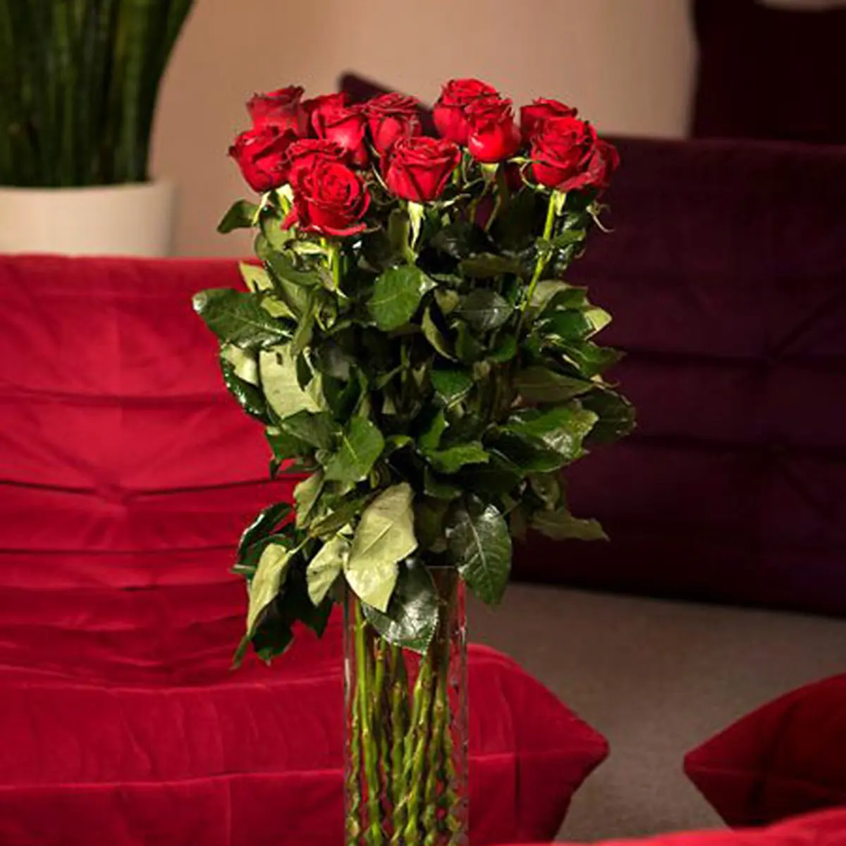 گل مورد علاقه‌تان چه راز‌هایی را درباره شخصیت شما فاش میکند؟