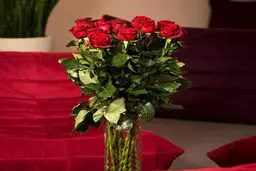 گل مورد علاقه‌تان چه راز‌هایی را درباره شخصیت شما فاش میکند؟