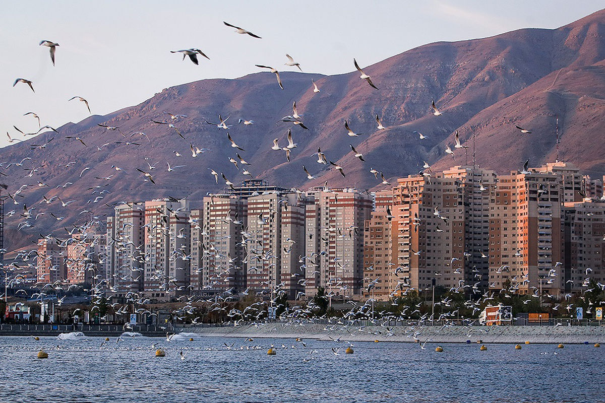 تصاویر / آغوش باز تهران برای مهاجران خارجی