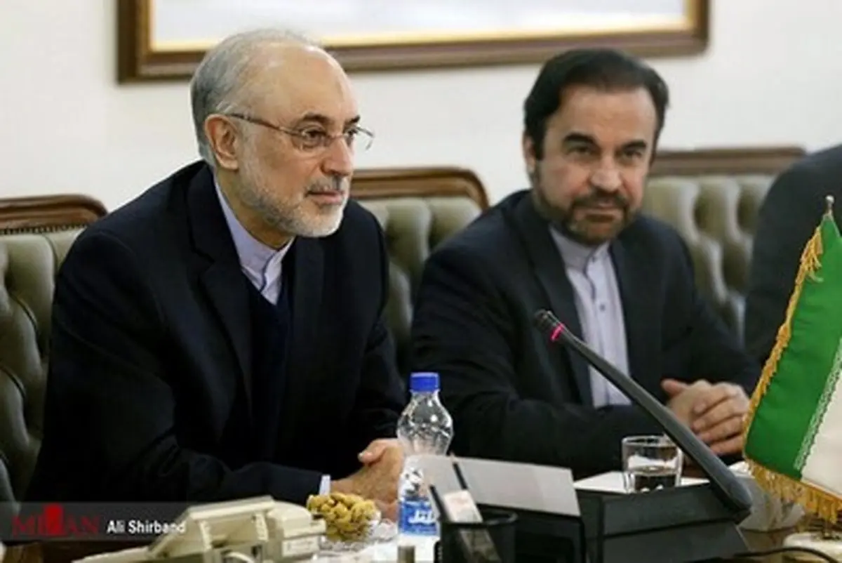 حواشی دیدار صالحی و آمانو در تهران/تصاویر