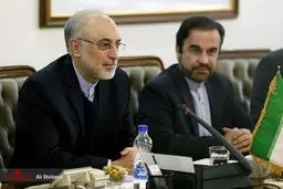 حواشی دیدار صالحی و آمانو در تهران/تصاویر