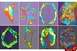 راز قطرات روغن زیر میکروسکوپ + تصاویر