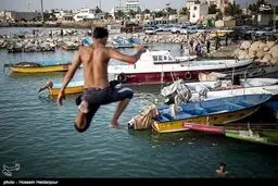 روزهای گرم بوشهر و شنا در ساحل جفره/تصاویر