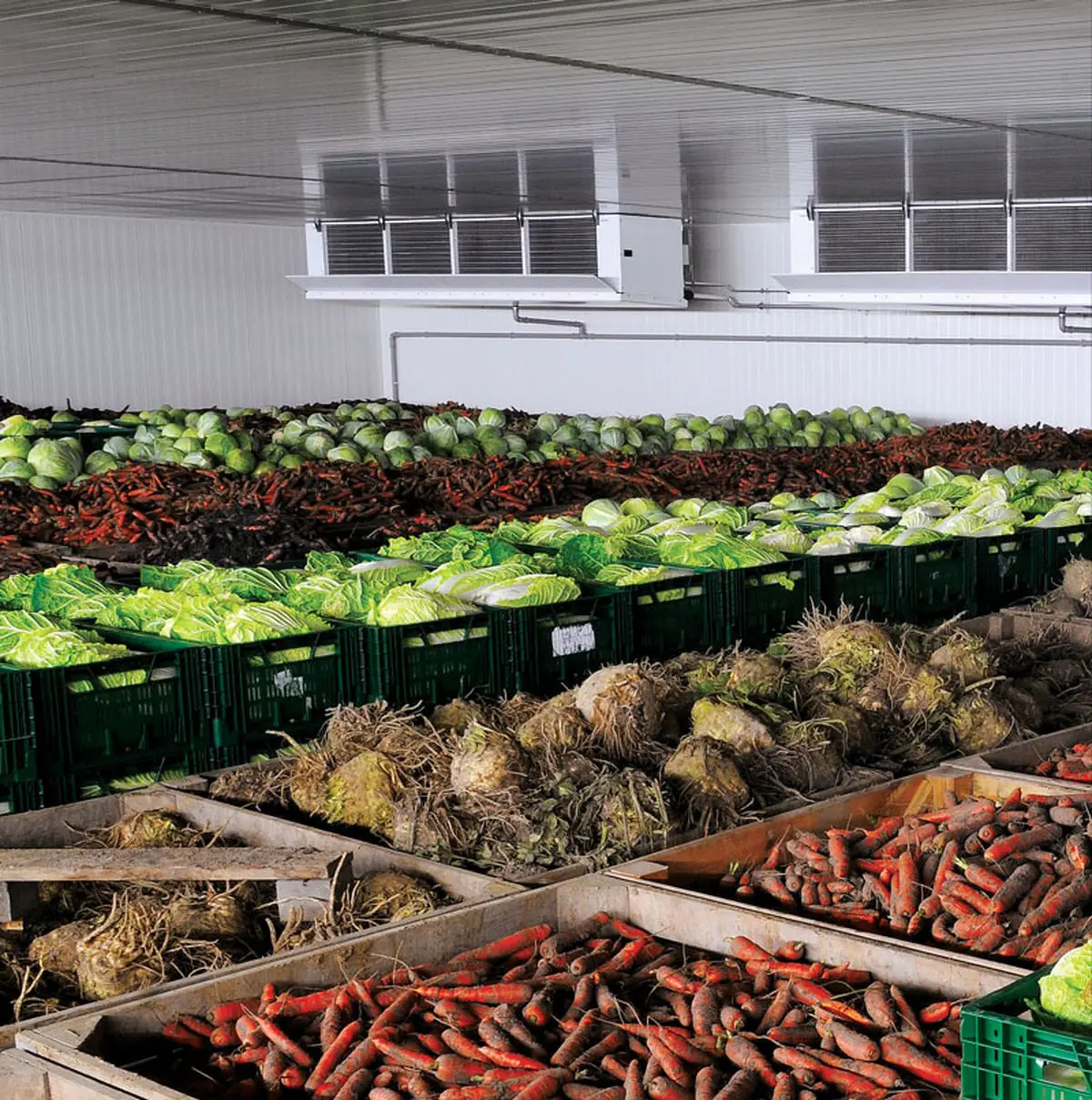 محاسبه میزان درآمد سردخانه