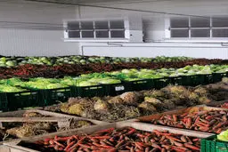 محاسبه میزان درآمد سردخانه