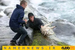 تصاویری دیدنی از انسان‌هایی که به داد حیوانات می‌رسند