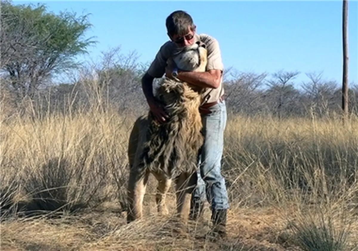 رابطه عاطفی و دوستانه‌ انسان و شیر/تصاویر