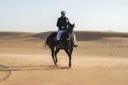 اسب سواری شاهزاده مولتی میلیاردر عربستانی در صحرا/تصاویر