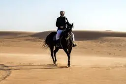 اسب سواری شاهزاده مولتی میلیاردر عربستانی در صحرا/تصاویر