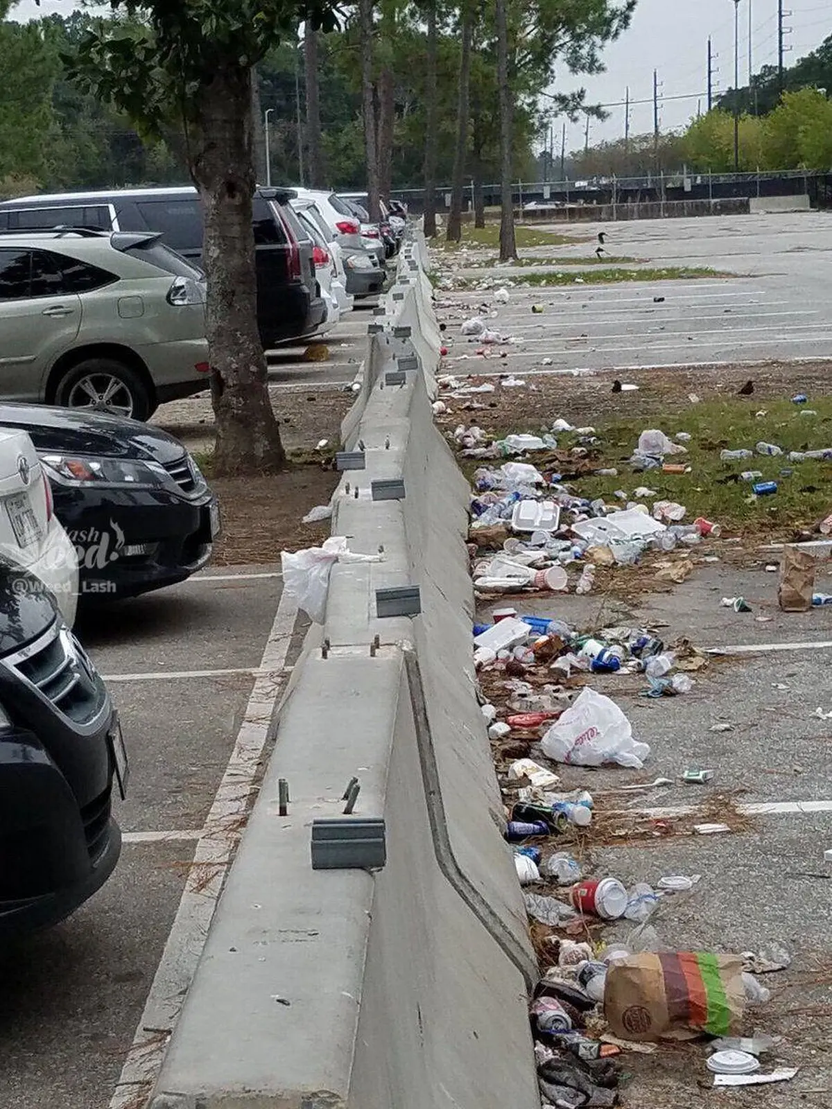 ‏اینجا ایران نیست/عکس