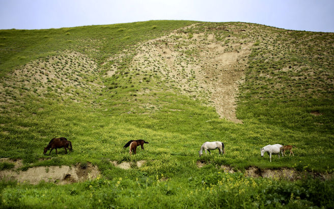 مراوه تپه؛ بهشتی در گلستان