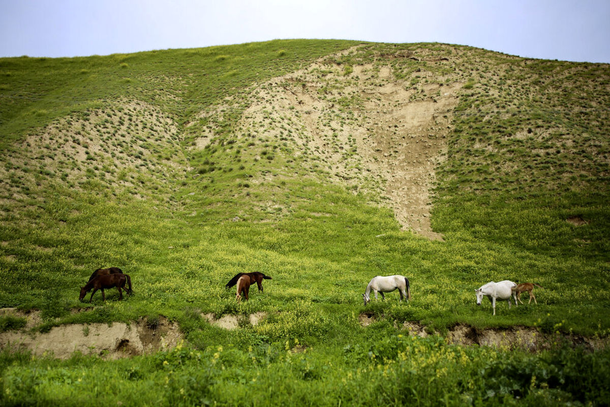 مراوه تپه؛ بهشتی در گلستان