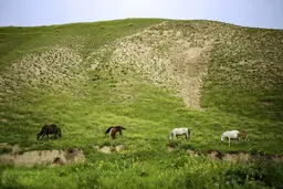 مراوه تپه؛ بهشتی در گلستان