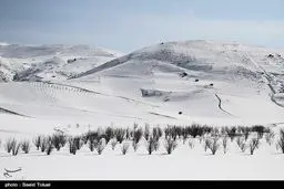 زیبایی هایی از بارش برف در ارتفاعات خراسان شمالی/ تصاویر