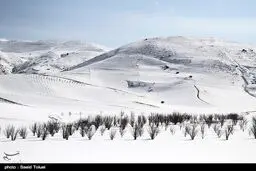زیبایی هایی از بارش برف در ارتفاعات خراسان شمالی/ تصاویر