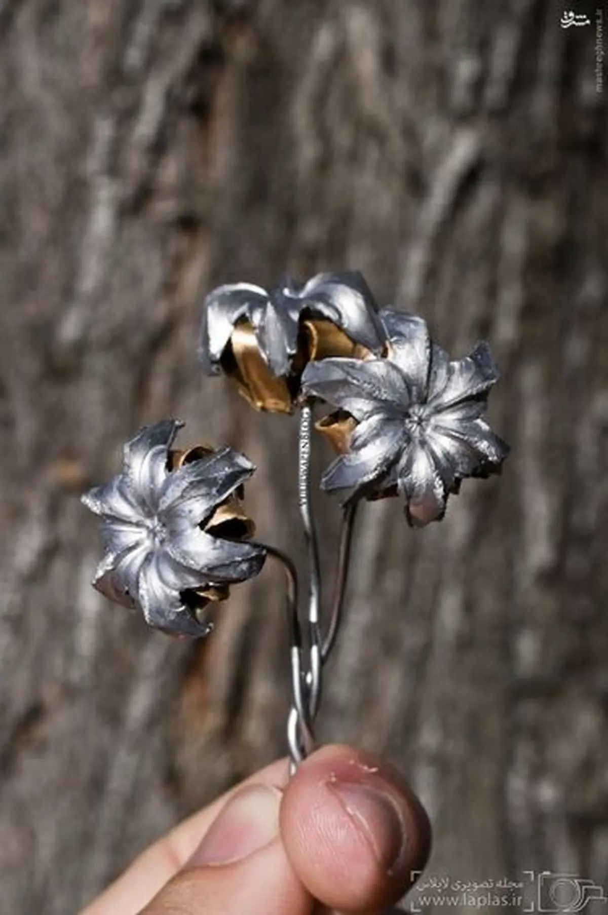 گلوله‌هایی که تبدیل به گل شدند/تصاویر