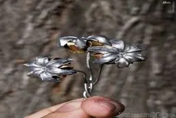 گلوله‌هایی که تبدیل به گل شدند/تصاویر