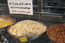 لطفا دست نزنید چون... / عکس