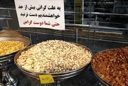 لطفا دست نزنید چون... / عکس
