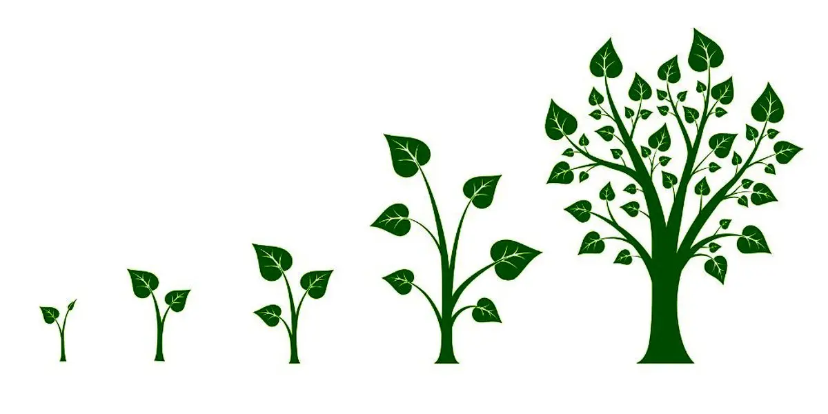 5 راه برای دستیابی مداوم به رشد شخصی