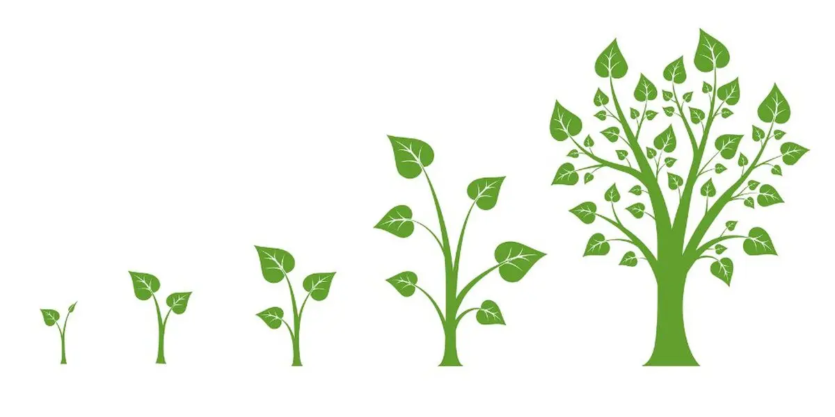 5 راه برای دستیابی مداوم به رشد شخصی
