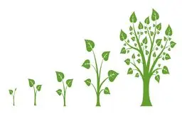 5 راه برای دستیابی مداوم به رشد شخصی