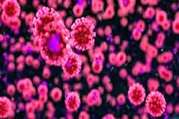 10 نکته کلیدی شکست کرونا/ از حفظ خونسردی تا دوری از وسواس