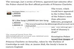 اولین پست توئیتری نوه ملکه/عکس